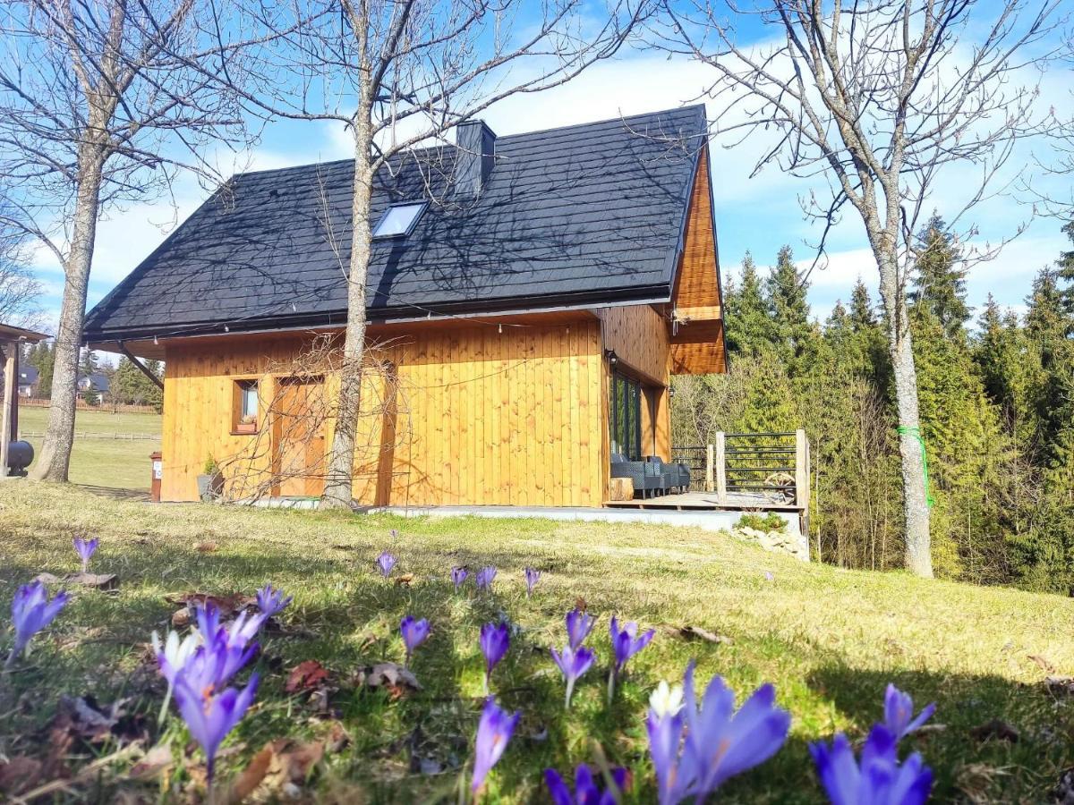 Przystanek Gorce Villa Nowy Targ Exterior foto